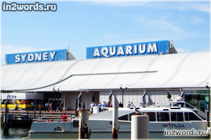 Прогулка по аквариуму. Вход, декорации, места для фото и антураж. Сидней, Австралия.